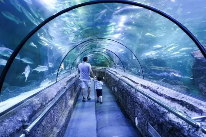 Jakarta Aquarium