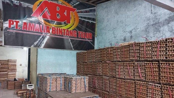 Supplier Amalia Bintang Telur Jakarta